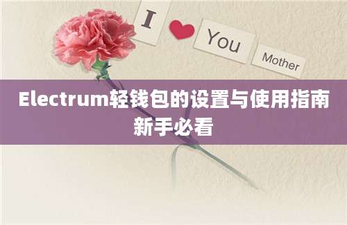 Electrum轻钱包的设置与使用指南新手必看