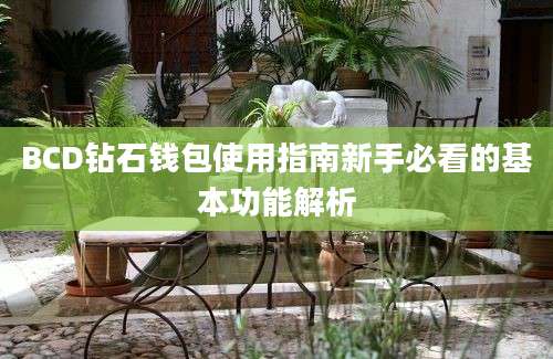 BCD钻石钱包使用指南新手必看的基本功能解析