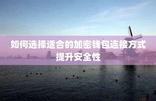 如何选择适合的加密钱包连接方式提升安全性