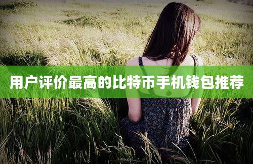 用户评价最高的比特币手机钱包推荐