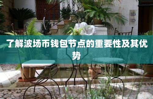 了解波场币钱包节点的重要性及其优势