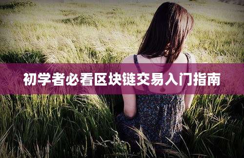 初学者必看区块链交易入门指南