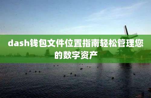 dash钱包文件位置指南轻松管理您的数字资产