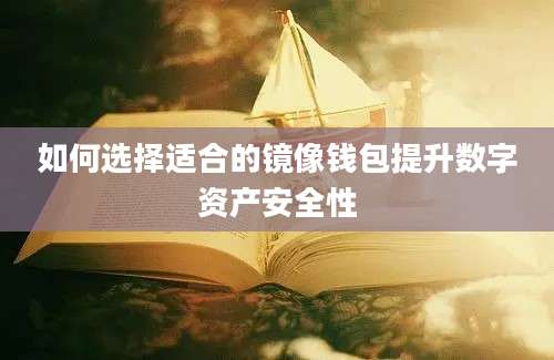 如何选择适合的镜像钱包提升数字资产安全性