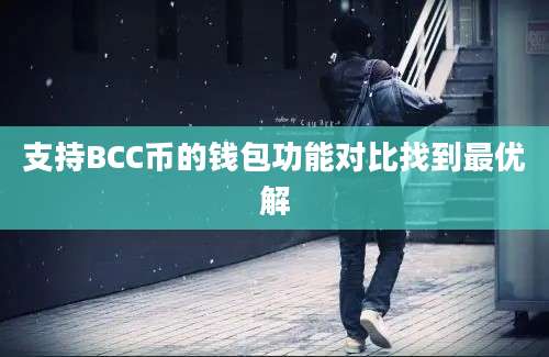 支持BCC币的钱包功能对比找到最优解