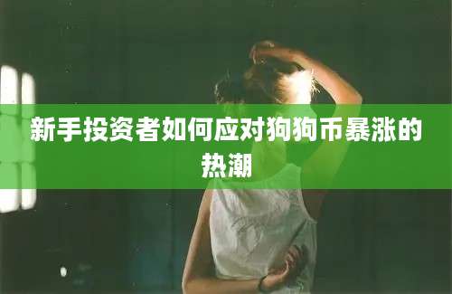 新手投资者如何应对狗狗币暴涨的热潮