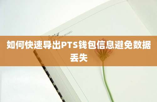 如何快速导出PTS钱包信息避免数据丢失