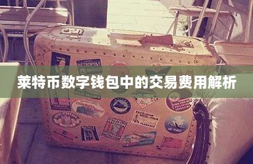 莱特币数字钱包中的交易费用解析