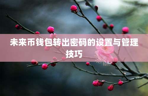 未来币钱包转出密码的设置与管理技巧
