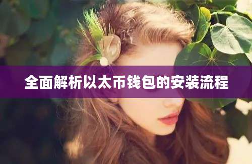 全面解析以太币钱包的安装流程