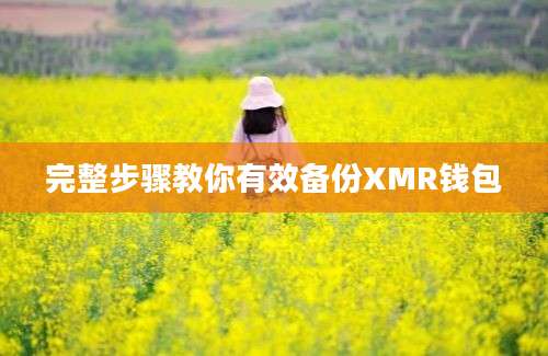 完整步骤教你有效备份XMR钱包