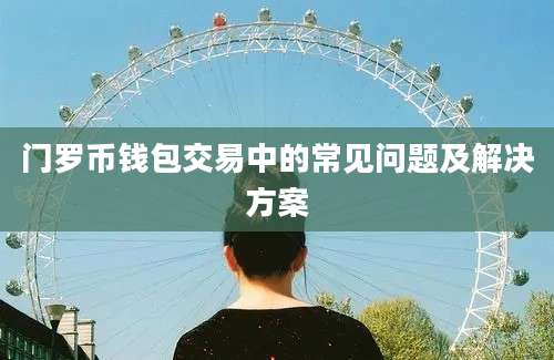 门罗币钱包交易中的常见问题及解决方案