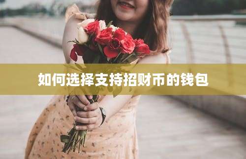 如何选择支持招财币的钱包
