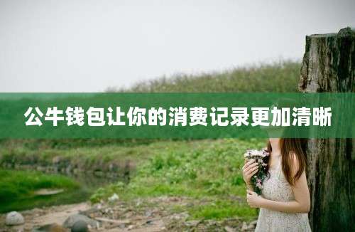 公牛钱包让你的消费记录更加清晰