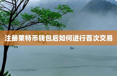 注册莱特币钱包后如何进行首次交易