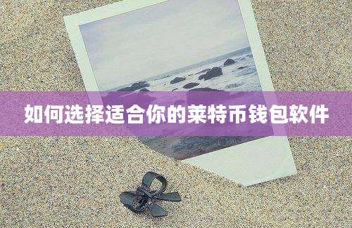 如何选择适合你的莱特币钱包软件