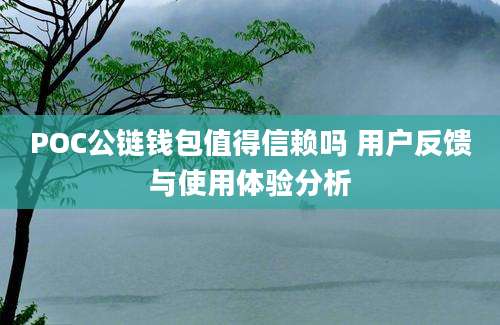 POC公链钱包值得信赖吗 用户反馈与使用体验分析