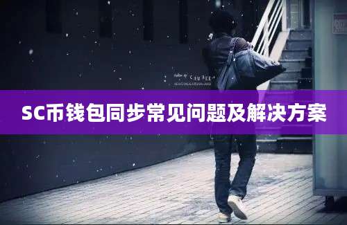 SC币钱包同步常见问题及解决方案