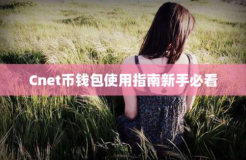 Cnet币钱包使用指南新手必看