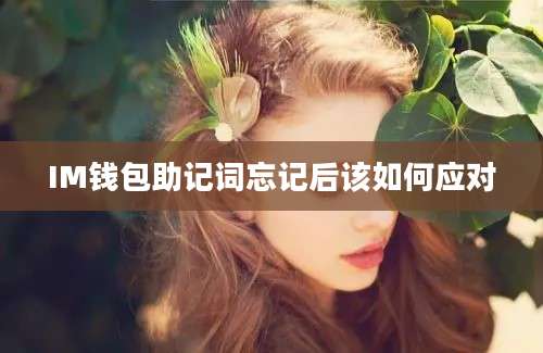 IM钱包助记词忘记后该如何应对