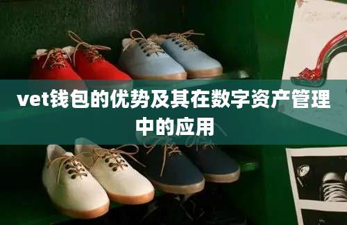 vet钱包的优势及其在数字资产管理中的应用