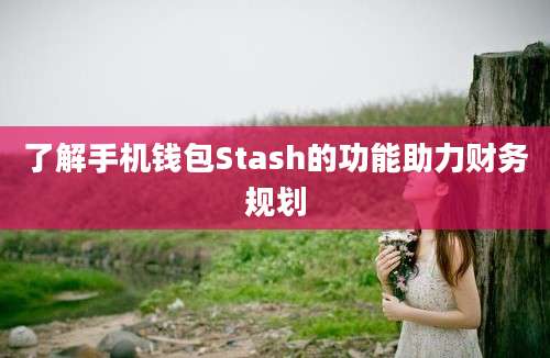 了解手机钱包Stash的功能助力财务规划