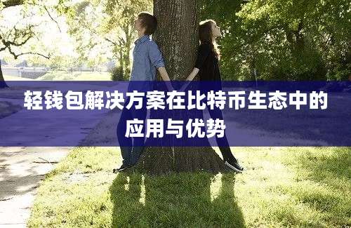 轻钱包解决方案在比特币生态中的应用与优势