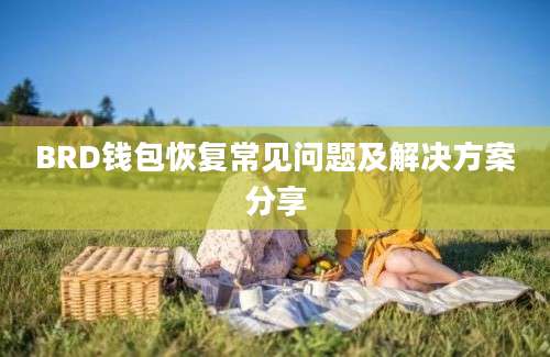 BRD钱包恢复常见问题及解决方案分享