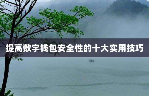 提高数字钱包安全性的十大实用技巧