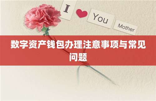 数字资产钱包办理注意事项与常见问题