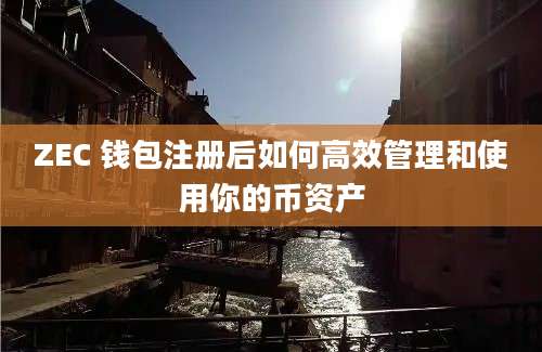ZEC 钱包注册后如何高效管理和使用你的币资产