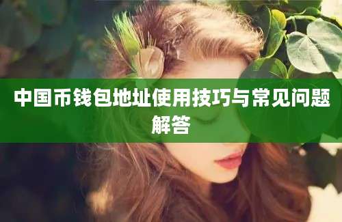 中国币钱包地址使用技巧与常见问题解答
