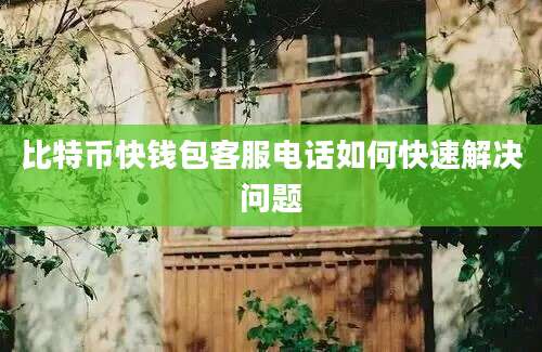 比特币快钱包客服电话如何快速解决问题