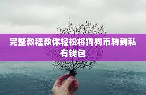 完整教程教你轻松将狗狗币转到私有钱包
