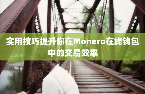 实用技巧提升你在Monero在线钱包中的交易效率