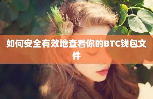 如何安全有效地查看你的BTC钱包文件