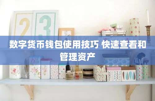 数字货币钱包使用技巧 快速查看和管理资产