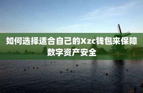 如何选择适合自己的Xzc钱包来保障数字资产安全