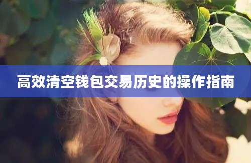 高效清空钱包交易历史的操作指南