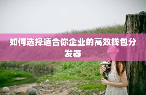如何选择适合你企业的高效钱包分发器