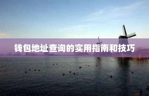 钱包地址查询的实用指南和技巧