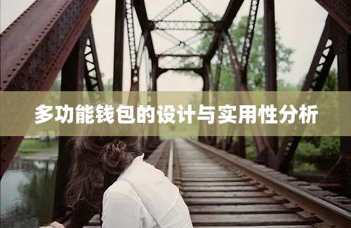 多功能钱包的设计与实用性分析