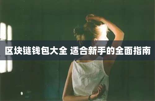 区块链钱包大全 适合新手的全面指南