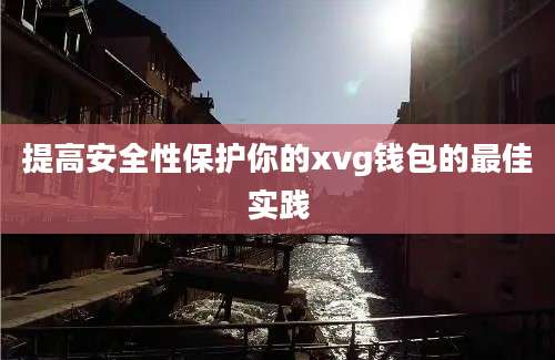 提高安全性保护你的xvg钱包的最佳实践