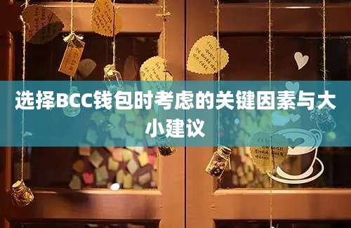 选择BCC钱包时考虑的关键因素与大小建议