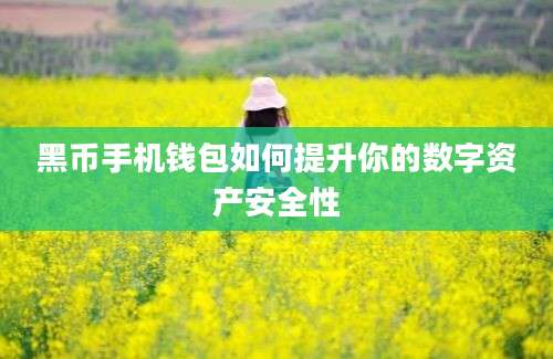 黑币手机钱包如何提升你的数字资产安全性