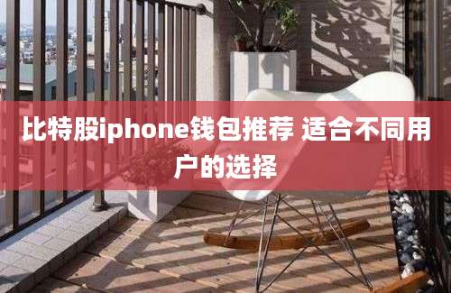 比特股iphone钱包推荐 适合不同用户的选择