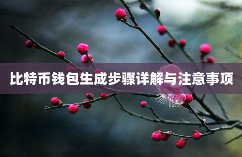 比特币钱包生成步骤详解与注意事项