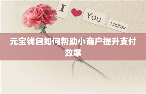 元宝钱包如何帮助小商户提升支付效率