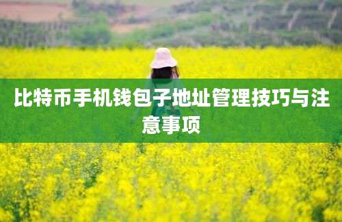 比特币手机钱包子地址管理技巧与注意事项